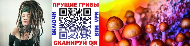 Псилоцибиновые грибы Magic Shrooms  Октябрьск 